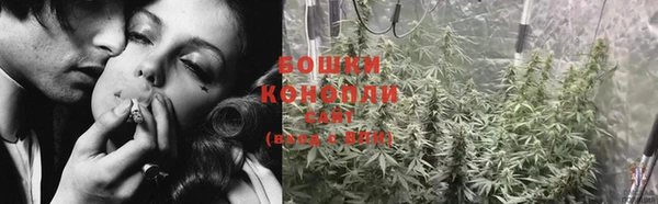 СК Весьегонск