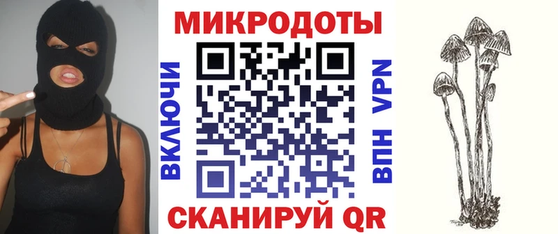 Галлюциногенные грибы Cubensis  Волхов 